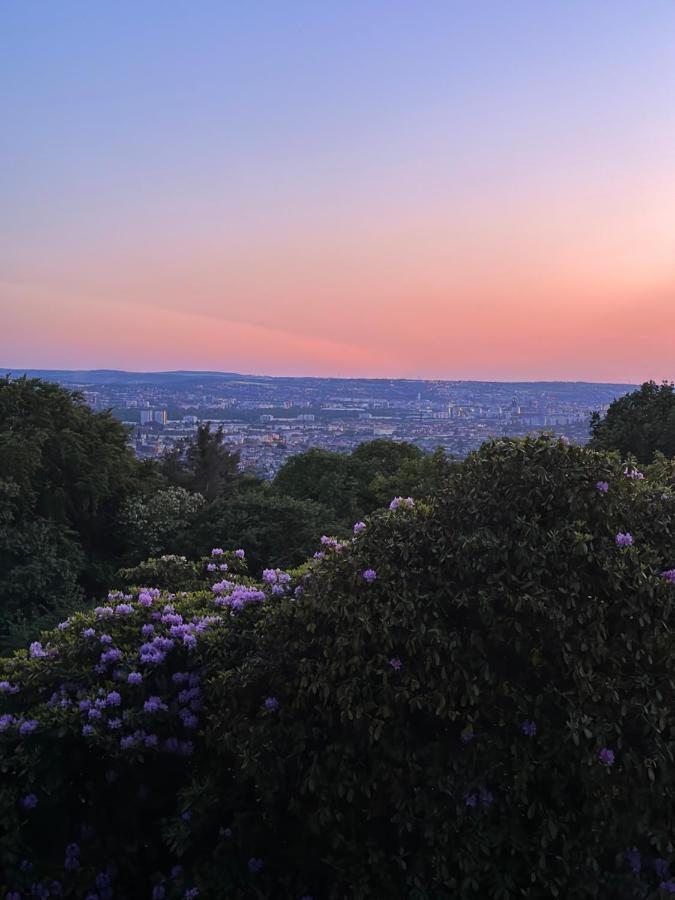 Oasis Appart - Wohnen Im Koenigspark - Elbhang Dresden - Grosse Terrasse - Netflix - Tg Exteriér fotografie