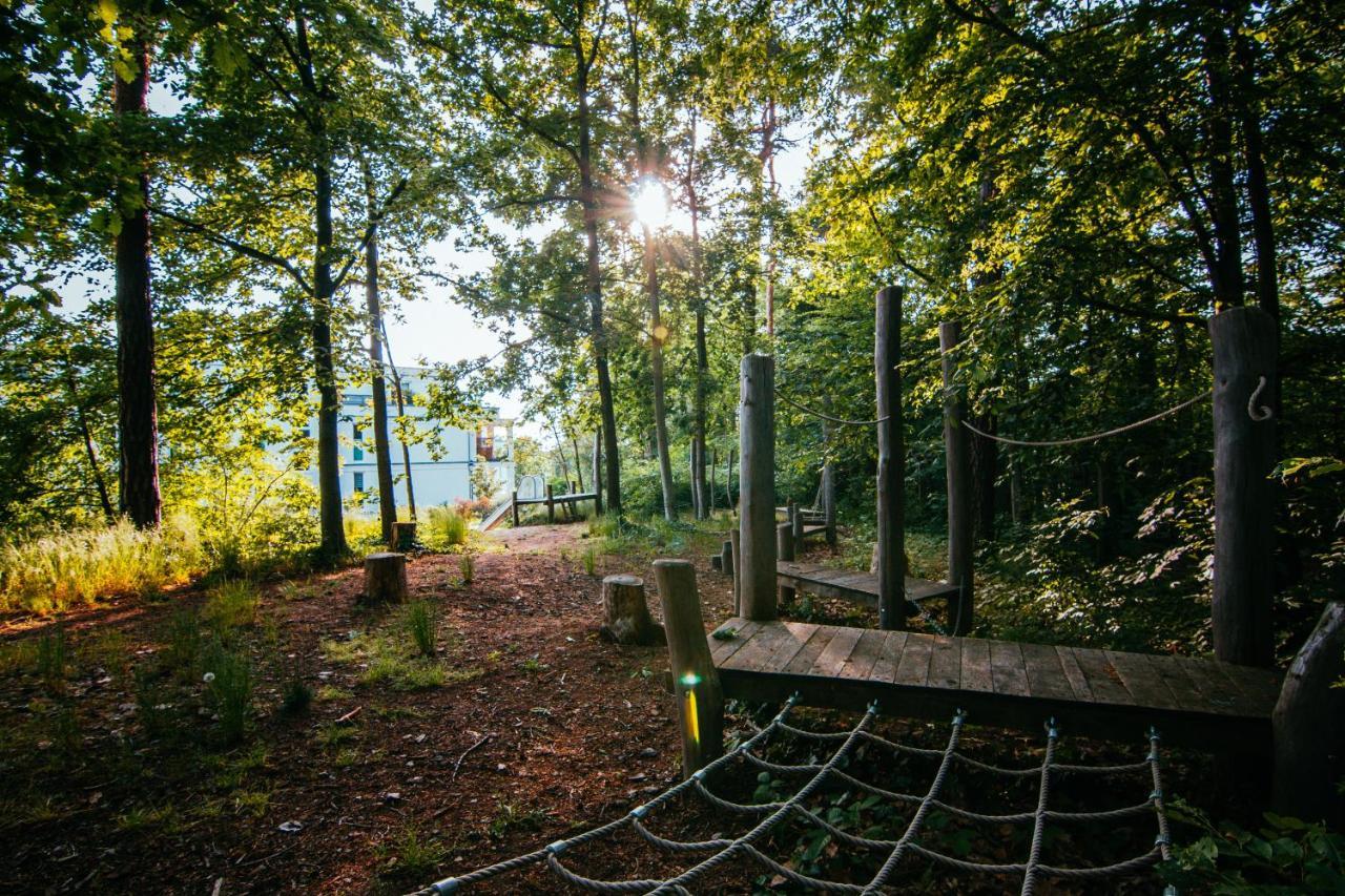Oasis Appart - Wohnen Im Koenigspark - Elbhang Dresden - Grosse Terrasse - Netflix - Tg Exteriér fotografie